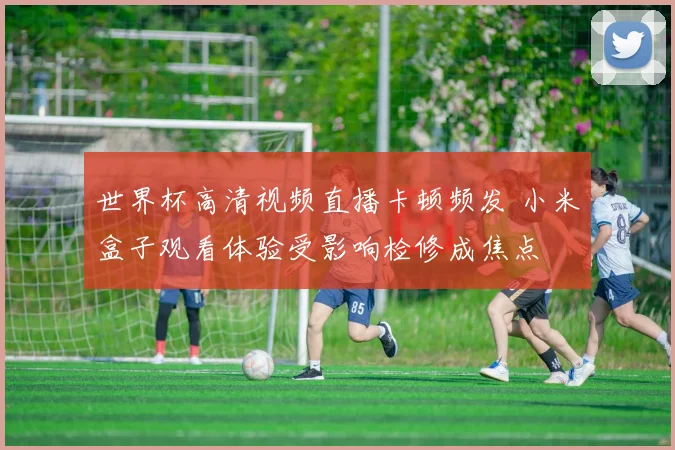 世界杯高清视频直播卡顿频发 小米盒子观看体验受影响检修成焦点