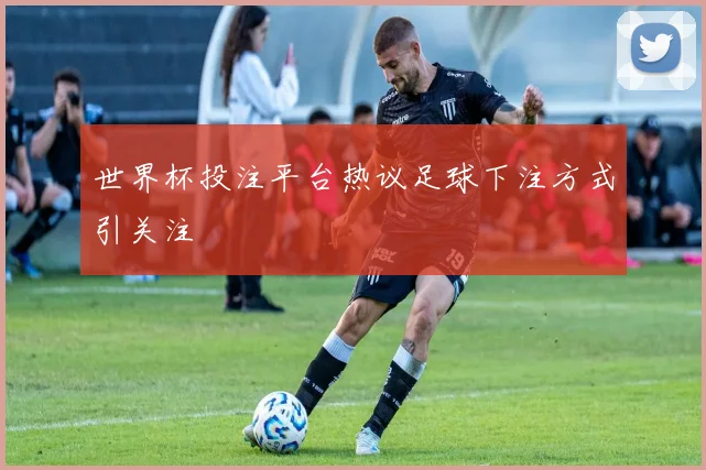 世界杯投注平台热议足球下注方式引关注
