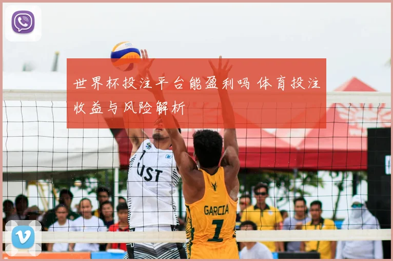 世界杯投注平台能盈利吗 体育投注收益与风险解析