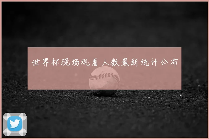 世界杯现场观看人数最新统计公布