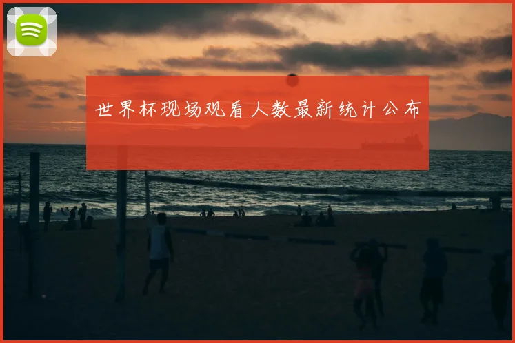 世界杯现场观看人数最新统计公布
